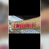 Skin Sparkle Professional Matte Liquid Lipstick