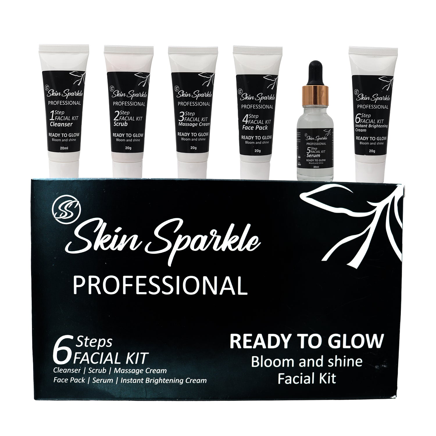 Skin Sparkle Professional 6-Step Facial Kit