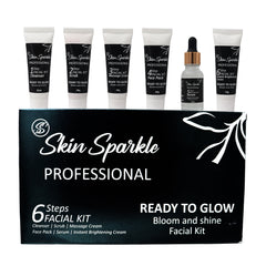 Skin Sparkle Professional 6-Step Facial Kit